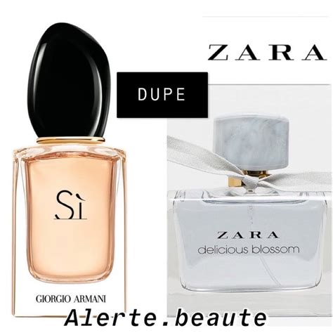 zara perfume dupe alternative.